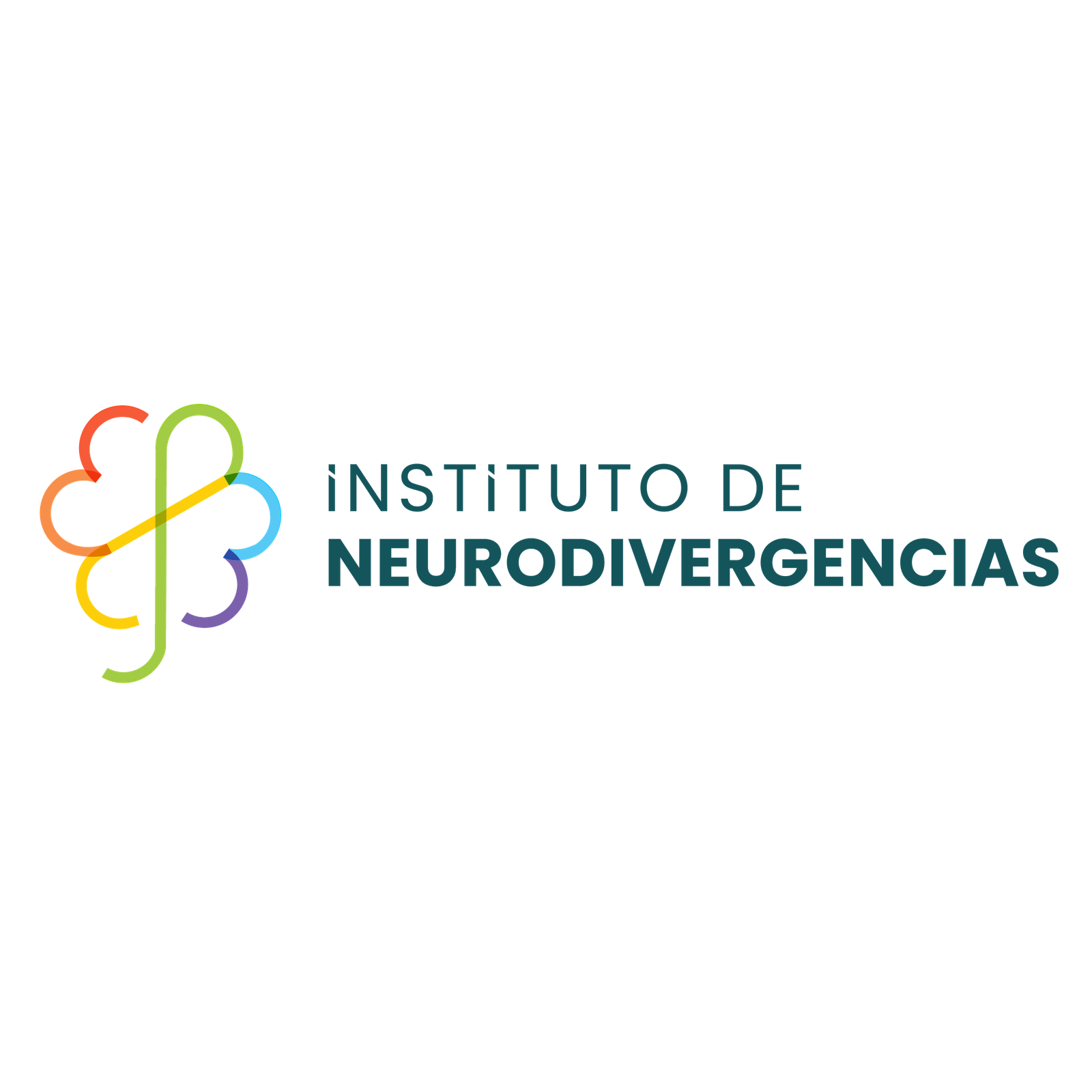 Logo instituto Neurodivergencias 07